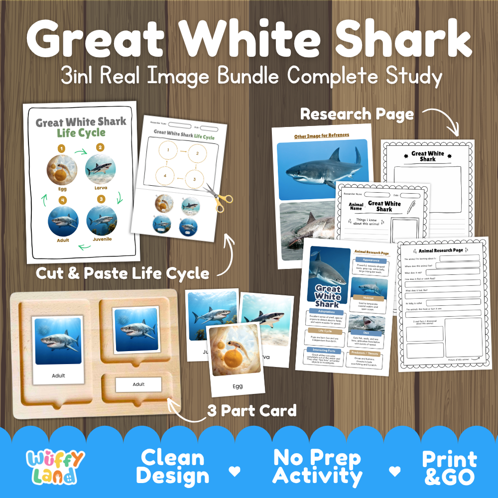 Great white shark 3-in-1 real image bundle complete study cover showing cut and paste life cycle, 3 part cards, and research pages
