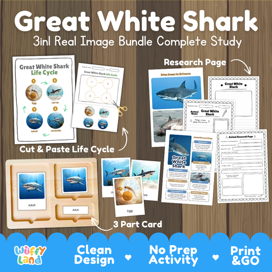 Great white shark 3-in-1 real image bundle complete study cover showing cut and paste life cycle, 3 part cards, and research pages