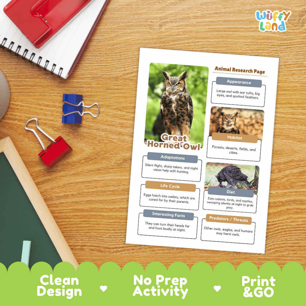 Great Horned Owl Animal Research Page Worksheets and Fact Sheet Activity
