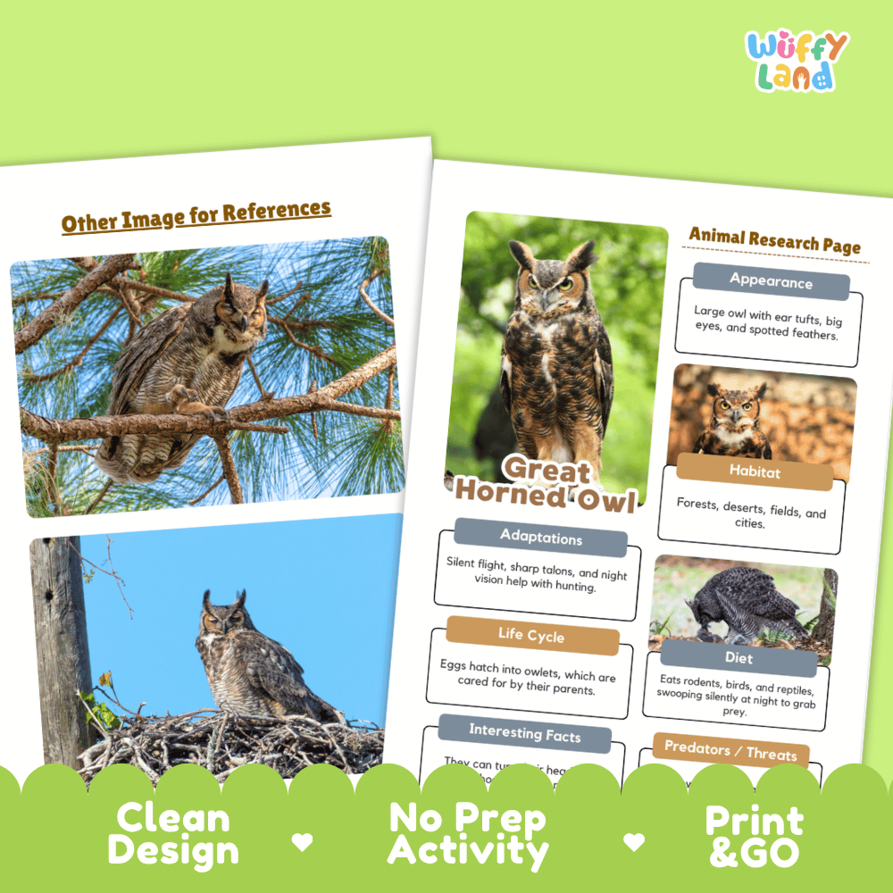 Great Horned Owl Animal Research Page Worksheets and Fact Sheet Activity