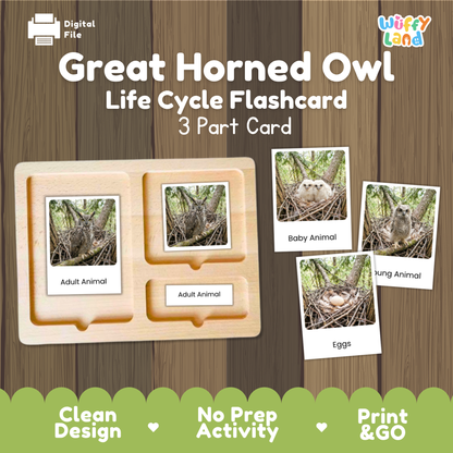 Great Horned Owl Life Cycle Flashcards | Montessori 3 Part Cards Science Activity