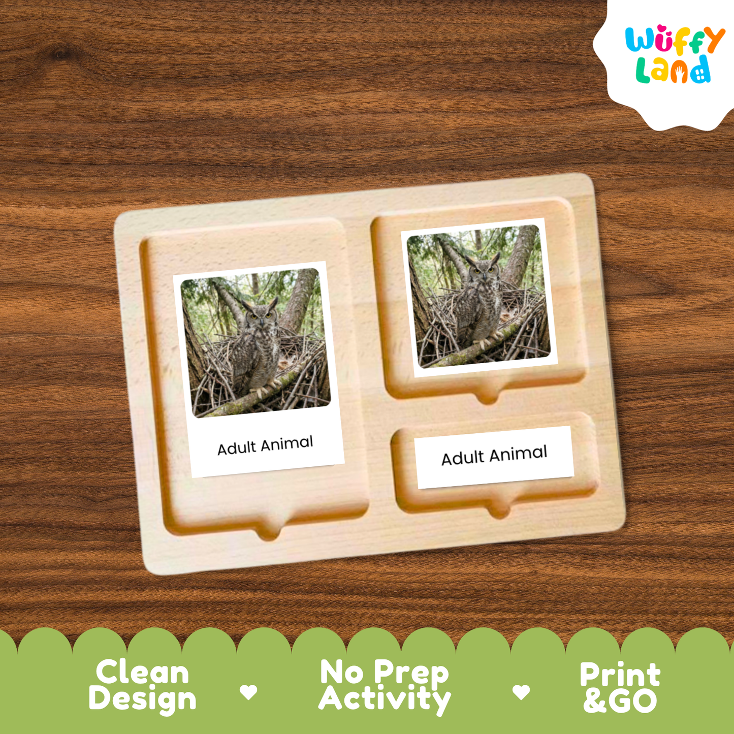 Great Horned Owl Life Cycle Flashcards | Montessori 3 Part Cards Science Activity