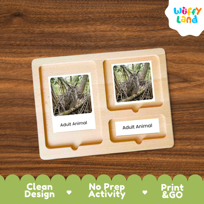 Great Horned Owl Life Cycle Flashcards | Montessori 3 Part Cards Science Activity