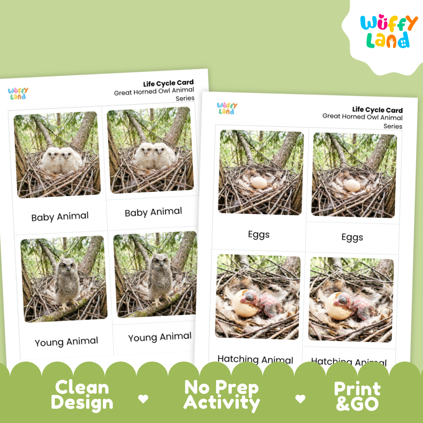 Great Horned Owl Life Cycle Flashcards | Montessori 3 Part Cards Science Activity