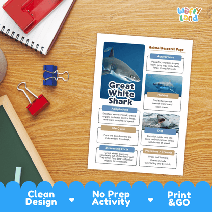 An educational animal research page about a great white shark printed on a white sheet, styled on a wooden desk with notebooks, binder clips, and a blue decorative banner at the bottom. The brand name 'Wiffly land' is visible in the top right corner.
