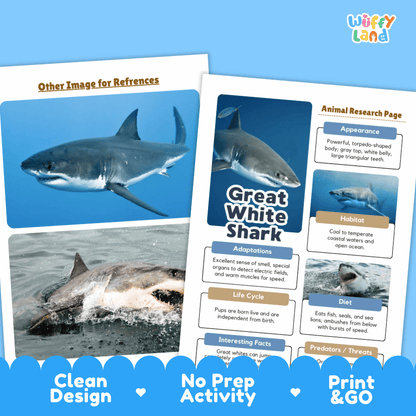 Two printed educational activity sheets about a great white shark are shown on a blue background. The left sheet has photos of a shark in the ocean, and the right sheet is an animal research page with text sections.