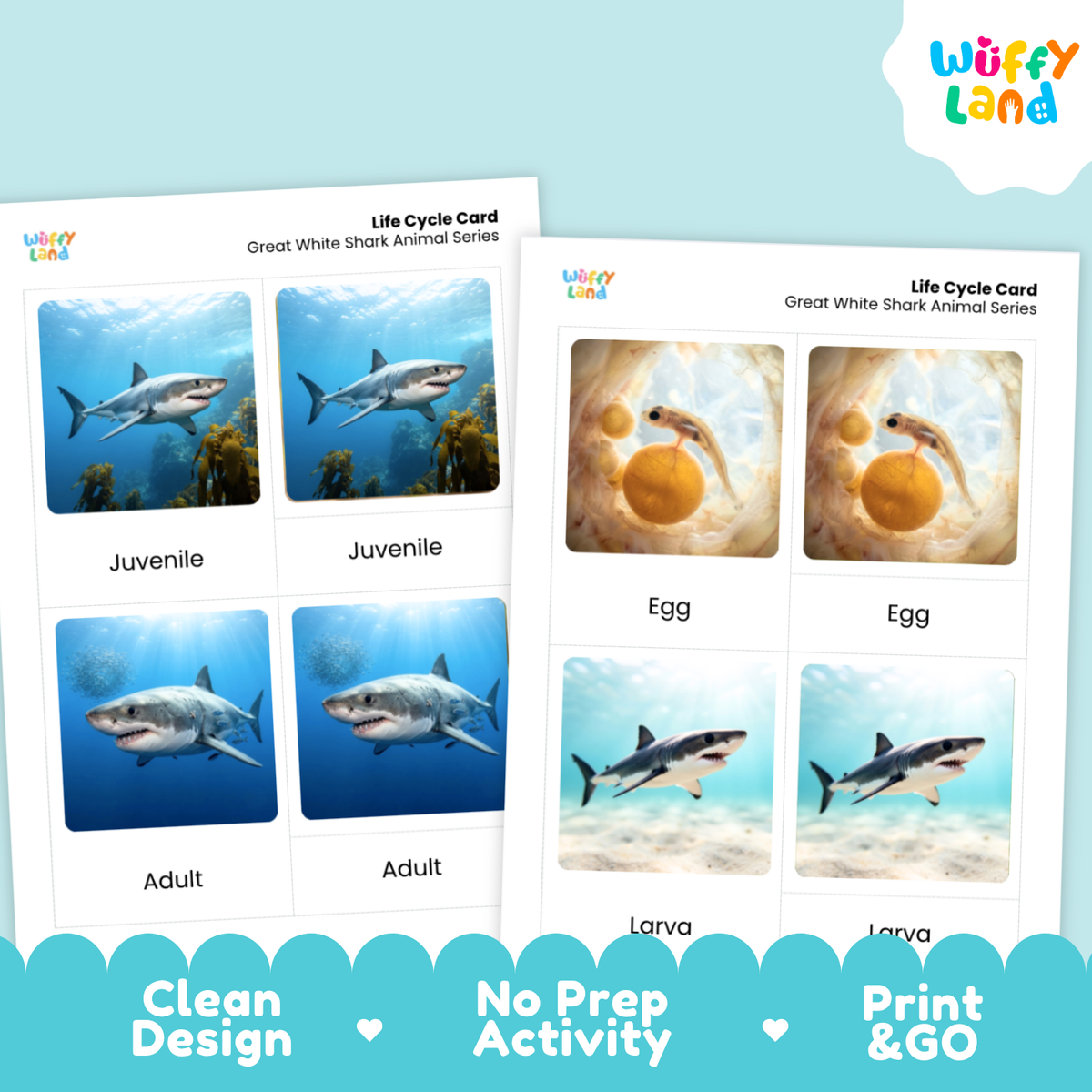 Two printable life cycle cards for the great white shark shown on a light blue background with decorative scalloped borders and marketing text. The cards feature labeled panels for juvenile, adult, egg, and larva stages with underwater and sandy egg images.