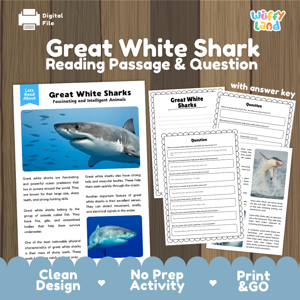 Great White Shark Reading Passage and Comprehension Questions Worksheets