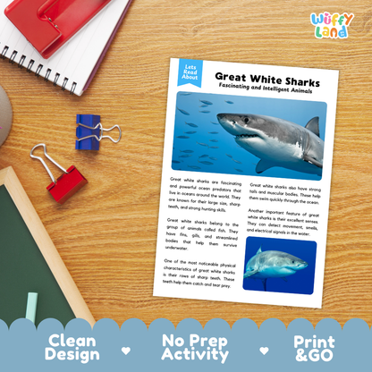 Great White Shark Reading Passage and Comprehension Questions Worksheets