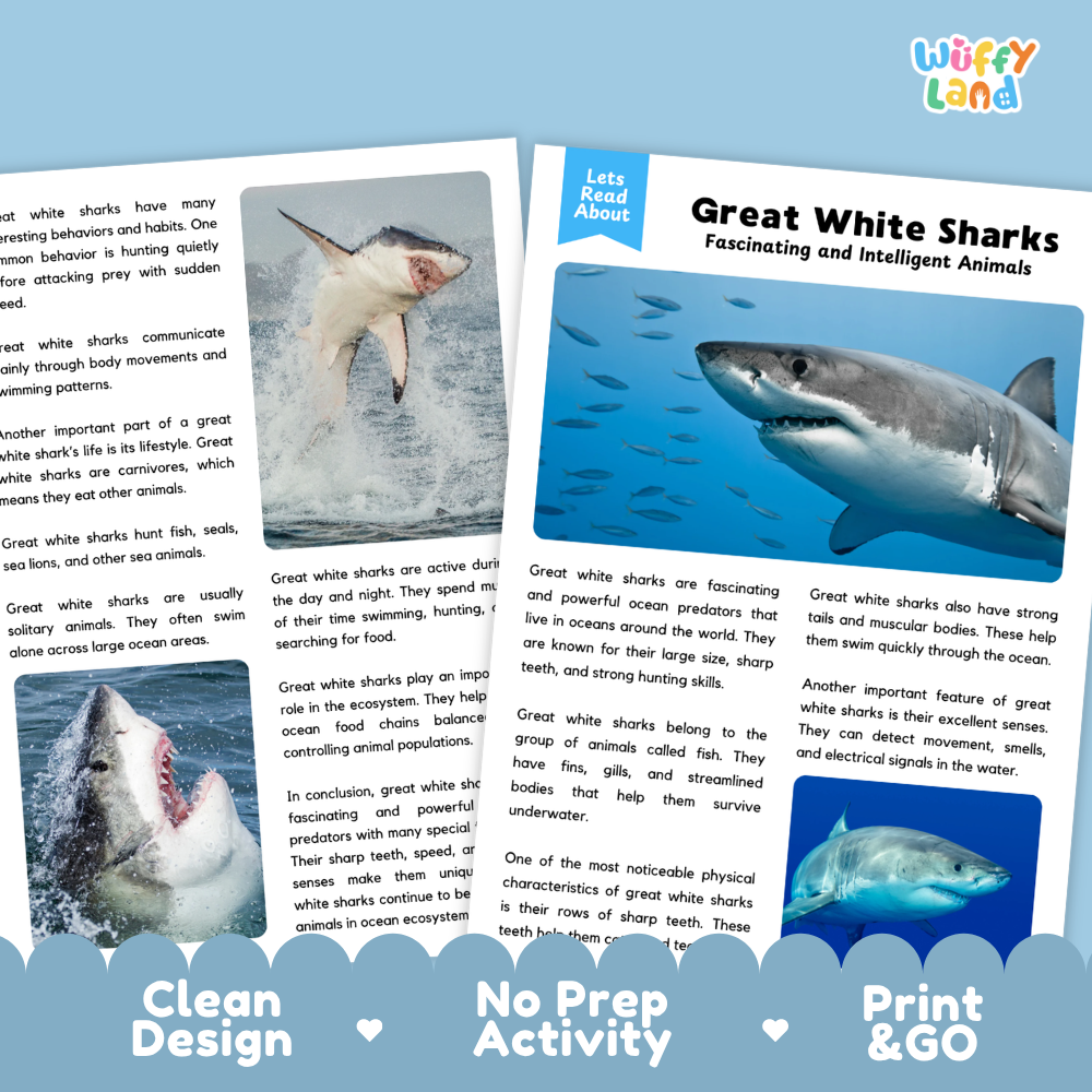 Great White Shark Reading Passage and Comprehension Questions Worksheets