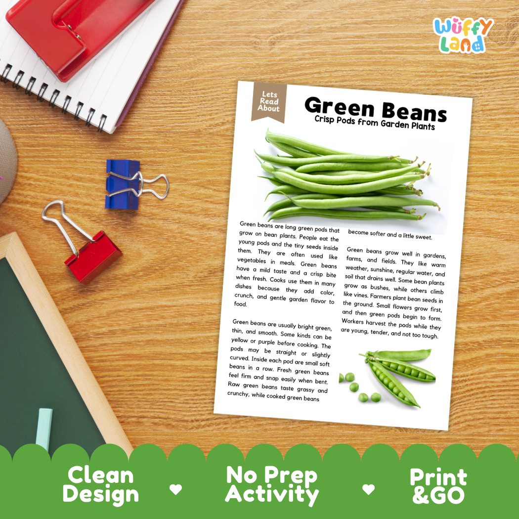 Student reading comprehension worksheet with short-answer questions and lined sections about green beans
