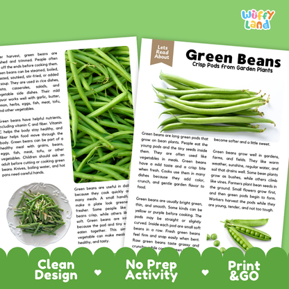 Teacher answer key page showing complete question solutions for green beans reading comprehension practice