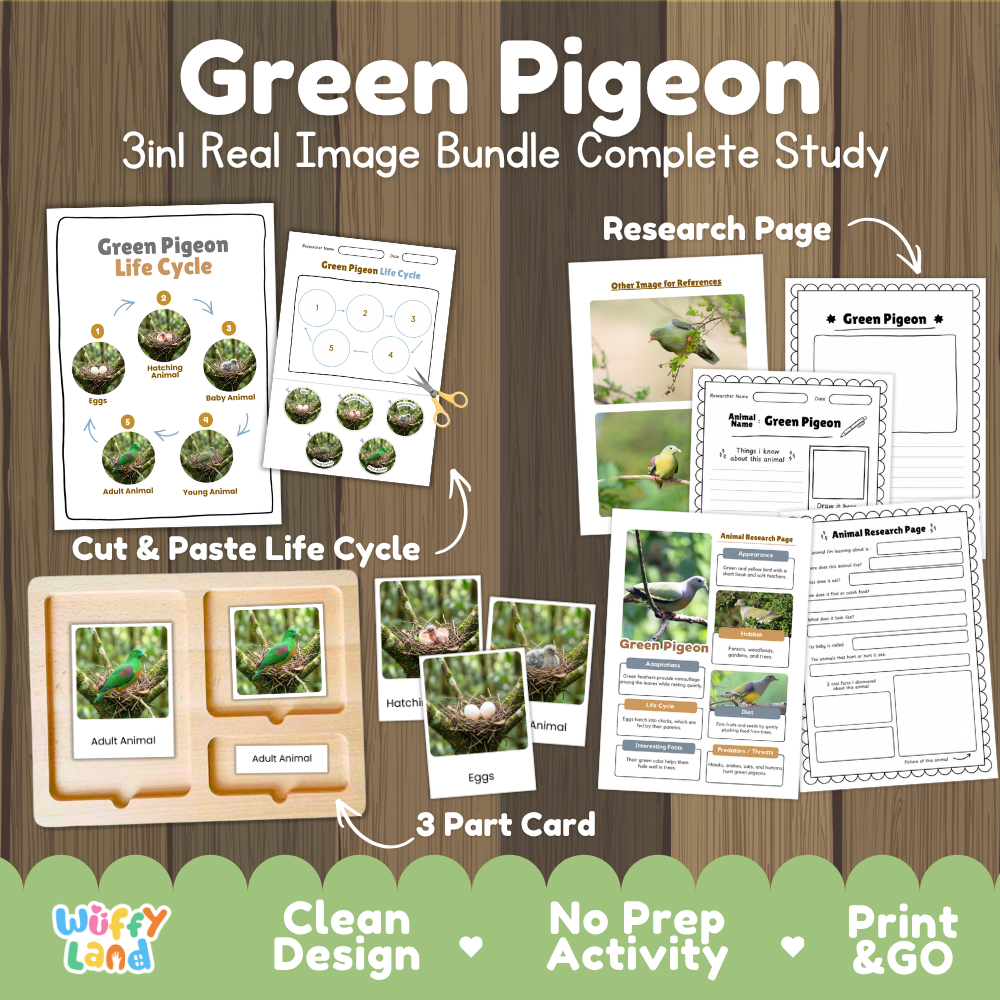Green Pigeon 3-in-1 real image bundle complete study cover showing cut and paste life cycle, 3 part cards, and research pages