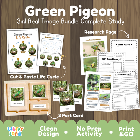 Green Pigeon 3-in-1 real image bundle complete study cover showing cut and paste life cycle, 3 part cards, and research pages