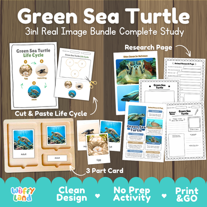 Green sea turtle 3-in-1 real image bundle complete study cover showing cut and paste life cycle, 3 part cards, and research pages