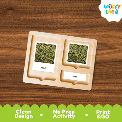 A wooden Montessori-style seed sorting tray with three compartments, shown on a brown wood-grain background. Two compartments contain green seed labeled 'seed', and the bottom compartment is empty.