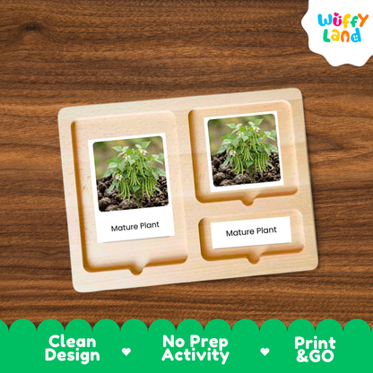 A wooden Montessori-style activity board with two labeled slots reading 'Mature Plant,' each holding a small plant photo card, shown on a wood-grain background. A 'Wuffy Land' logo appears in the top right, and a green banner at the bottom highlights 'Clean Design,' 'No Prep Activity,' and 'Print & GO.