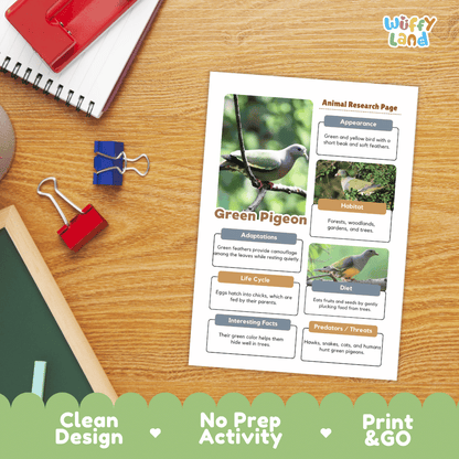 Green Pigeon Animal Research Page Worksheets and Fact Sheet Activity