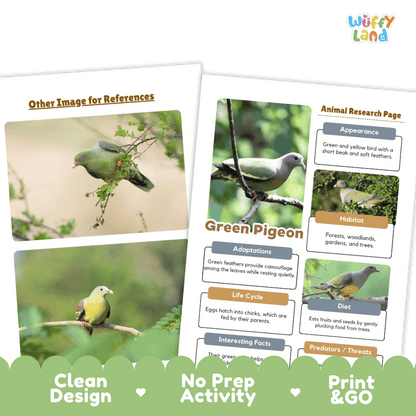 Green Pigeon Animal Research Page Worksheets and Fact Sheet Activity
