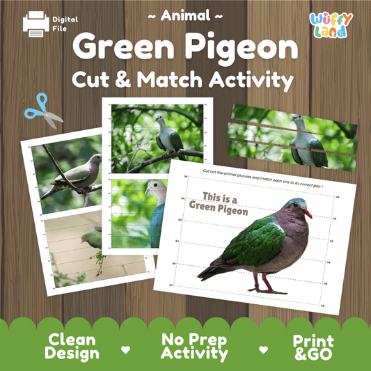 Green Pigeon Cut and Match Activity Worksheets | Bird Puzzle Printables