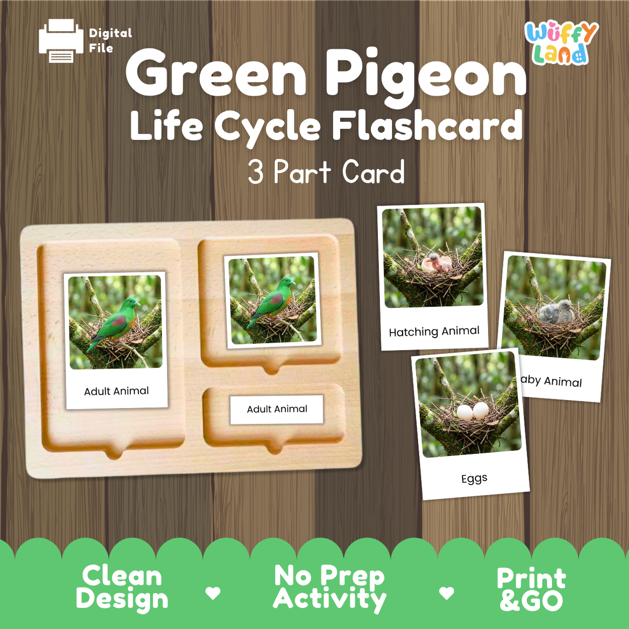 Green Pigeon Life Cycle Flashcard set by Wiffy Land, featuring a 3-part wooden card tray with labeled sections for Adult Animal and Eggs, shown alongside sample animal and egg cards on a wood-textured background.