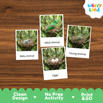 Four educational animal activity cards showing bird nests and labeled images ('Baby Animal', 'Adult Animal', 'Young Animal', 'Eggs') arranged on a wood surface, with a Wuffy Land logo and marketing text along the bottom.