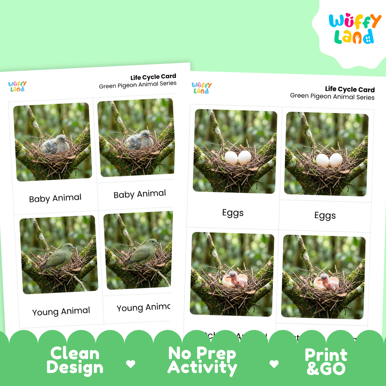 Two printed life cycle cards for green pigeons shown on a light green background with a Wiffy Land logo. The cards feature labeled photos of eggs, a baby animal, and a young animal on tree branches, with marketing text along the bottom including 'Clean Design', 'No Prep Activity', and 'Print & GO'.