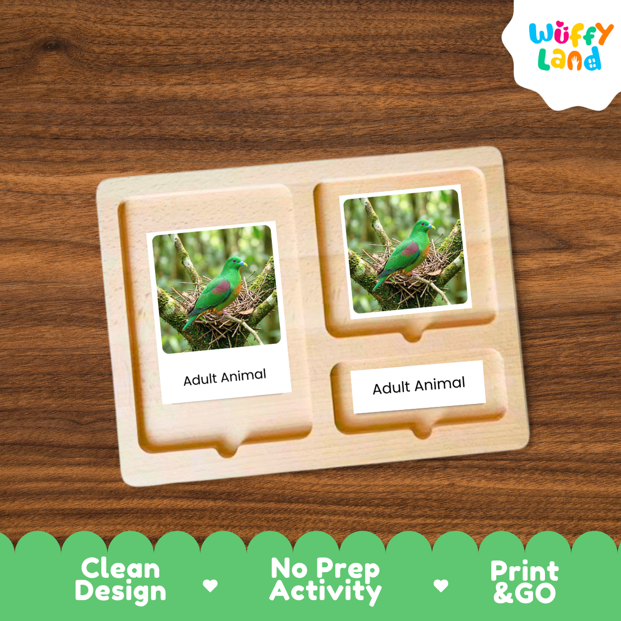 A wooden Montessori-style activity board with two labeled slots reading 'Adult Animal,' each containing a photo card of a green bird. The board is shown on a wood-grain background, with a Wuffy Land logo in the top right and a green promotional banner at the bottom highlighting 'Clean Design,' 'No Prep Activity,' and 'Print & GO.