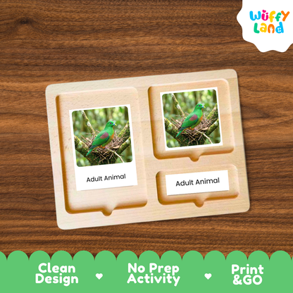 A wooden Montessori-style activity board with two labeled slots reading 'Adult Animal,' each containing a photo card of a green bird. The board is shown on a wood-grain background, with a Wuffy Land logo in the top right and a green promotional banner at the bottom highlighting 'Clean Design,' 'No Prep Activity,' and 'Print & GO.