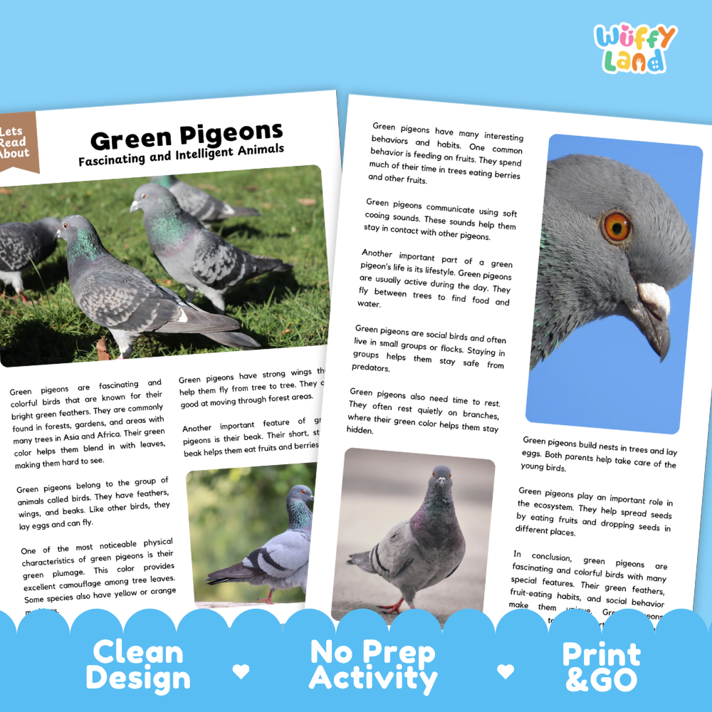 Green Pigeons Reading Passage and Comprehension Questions Worksheets with Answer Key