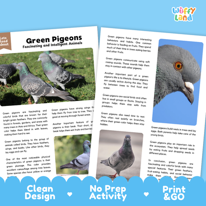 Green Pigeons Reading Passage and Comprehension Questions Worksheets with Answer Key