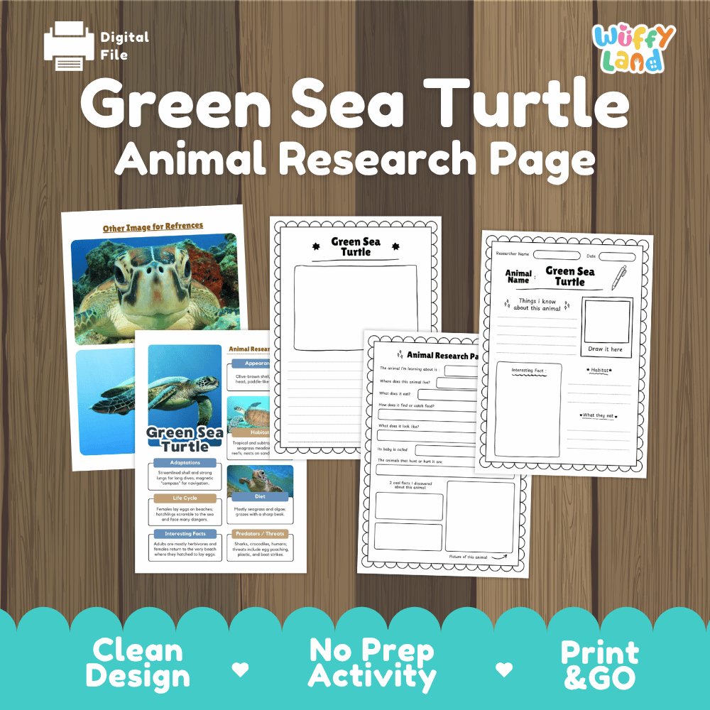 Digital worksheet preview for a 'Green Sea Turtle Animal Research Page' by Wiffly Land, displayed on a wood-grain background with a teal banner at the bottom highlighting 'Clean Design', 'No Prep Activity', and 'Print & GO'.