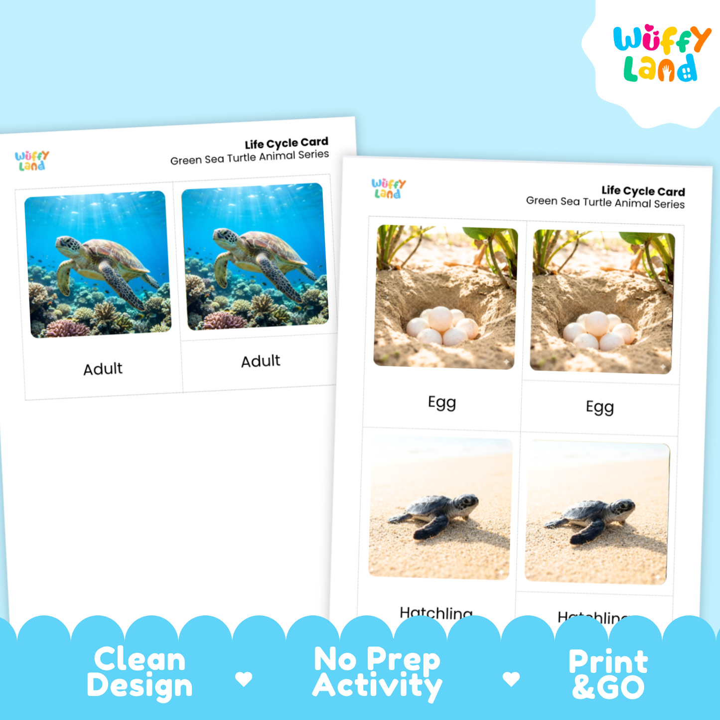 Green Sea Turtle Life Cycle Flashcards 3 Part Cards Montessori Science Activity