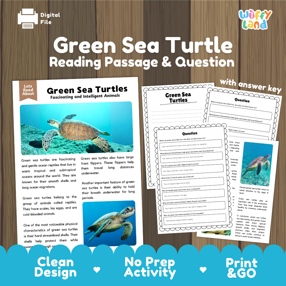 Green Sea Turtle Reading Passage and Comprehension Questions Worksheets
