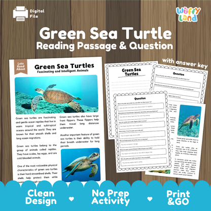 Green Sea Turtle Reading Passage and Comprehension Questions Worksheets