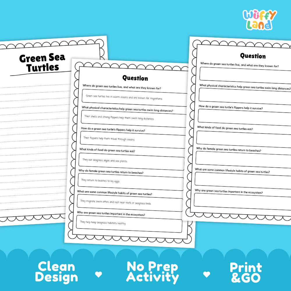 Green Sea Turtle Reading Passage and Comprehension Questions Worksheets
