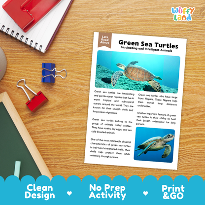 Green Sea Turtle Reading Passage and Comprehension Questions Worksheets