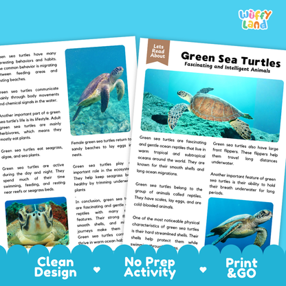 Green Sea Turtle Reading Passage and Comprehension Questions Worksheets