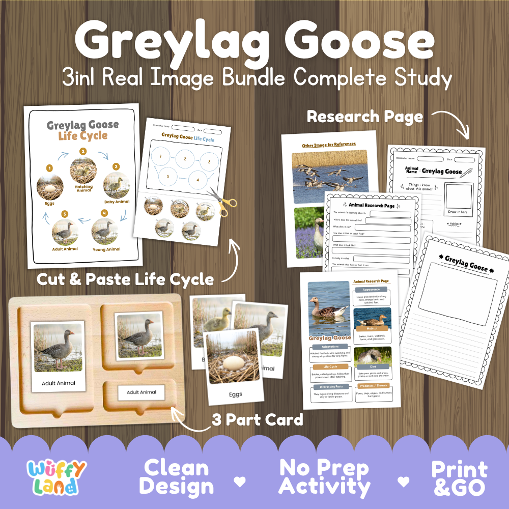 Greylag goose 3-in-1 real image bundle complete study cover showing cut and paste life cycle, 3 part cards, and research pages