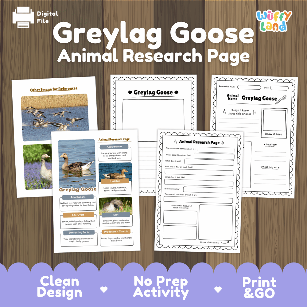 Greylag Goose Animal Research Page Worksheets and Fact Sheet Activity