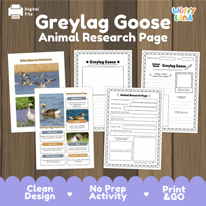 Greylag Goose Animal Research Page Worksheets and Fact Sheet Activity