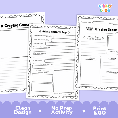 Greylag Goose Animal Research Page Worksheets and Fact Sheet Activity