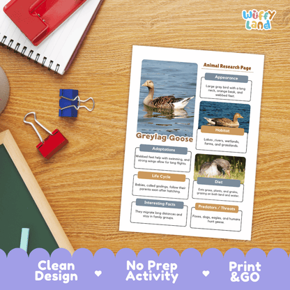 Greylag Goose Animal Research Page Worksheets and Fact Sheet Activity