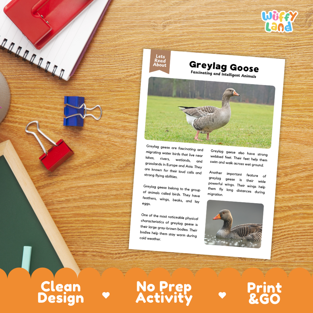 Greylag Goose Reading Passage and Comprehension Questions Worksheets with Answer Key