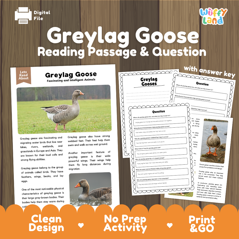 Greylag Goose Reading Passage and Comprehension Questions Worksheets with Answer Key