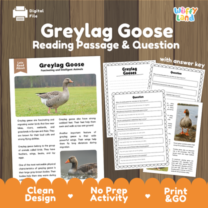 Greylag Goose Reading Passage and Comprehension Questions Worksheets with Answer Key