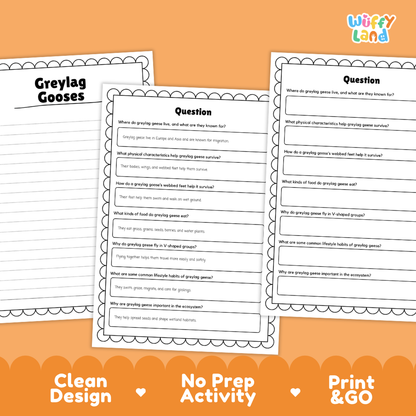 Greylag Goose Reading Passage and Comprehension Questions Worksheets with Answer Key