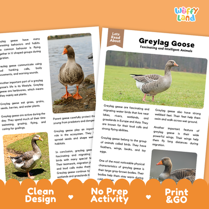 Greylag Goose Reading Passage and Comprehension Questions Worksheets with Answer Key