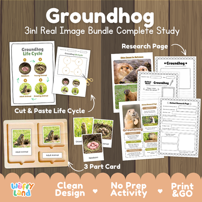 Groundhog 3-in-1 real image bundle complete study cover showing cut and paste life cycle, 3 part cards, and research pages