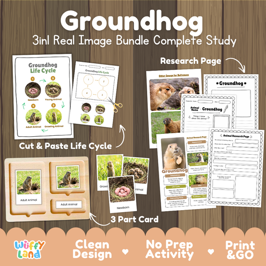 Groundhog 3-in-1 real image bundle complete study cover showing cut and paste life cycle, 3 part cards, and research pages